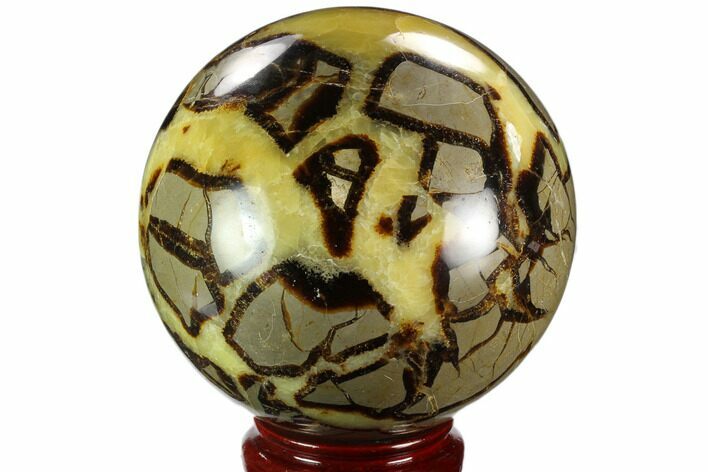 Polished, Septarian Sphere - Madagascar #125485